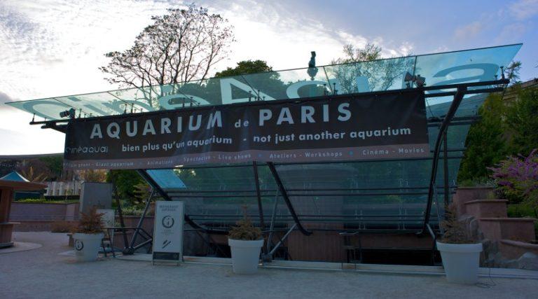 Aquarium de Paris – oceanarium w Paryżu